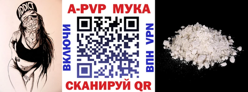 как найти   Сунжа  omg ссылка  Alfa_PVP крисы CK 