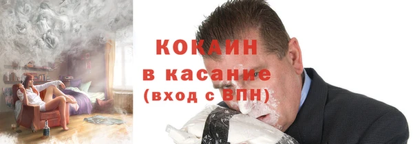 соль ск Алексин