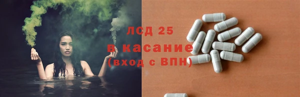 соль ск Алексин