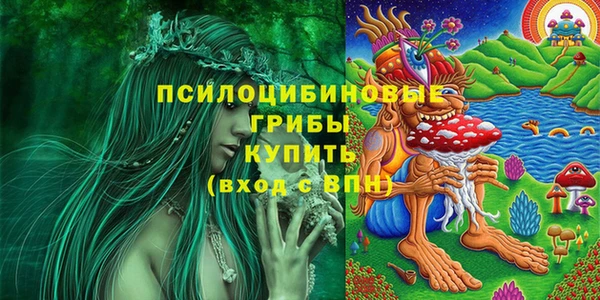 соль ск Алексин