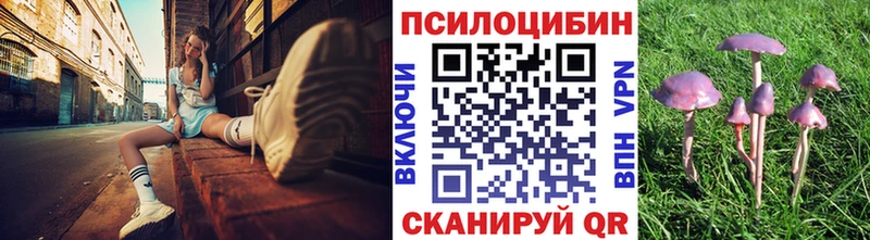 Галлюциногенные грибы ЛСД kraken tor Сунжа