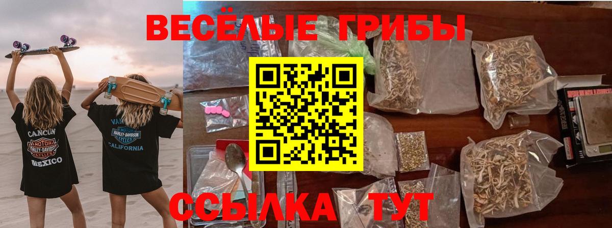 как найти   Вход с VPN  Сунжа  Галлюциногенные грибы ЛСД 